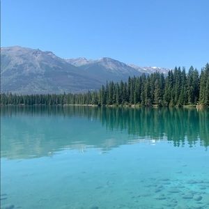 Meet your Posher, Ava